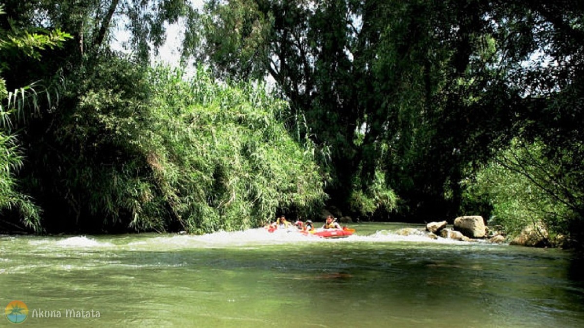 kayaks (1)