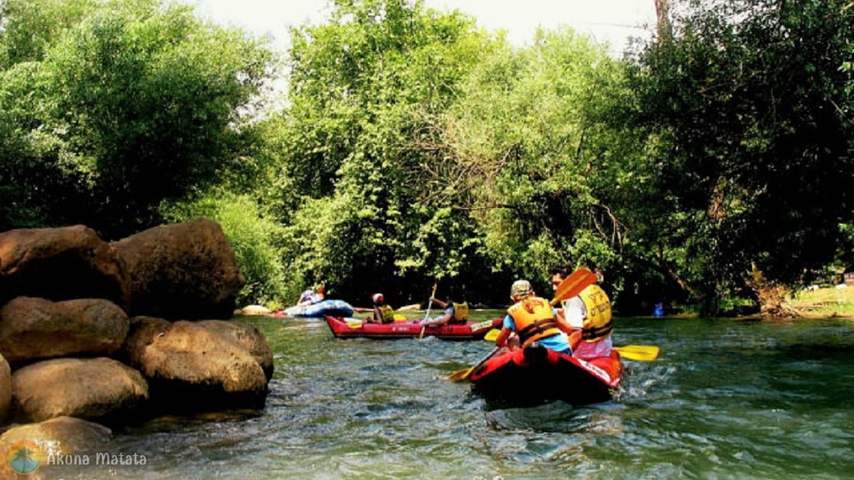 kayaks (4)
