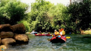 kayaks (4)