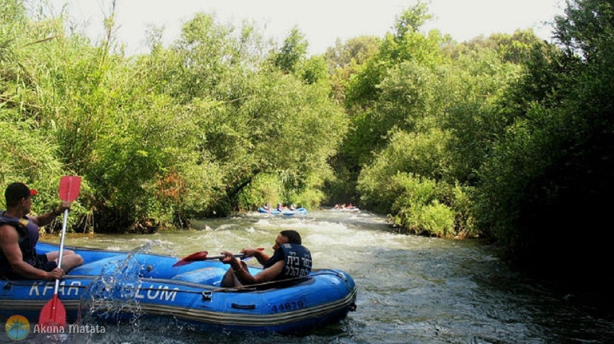kayaks (5)