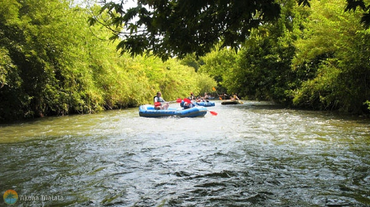 kayaks (7)